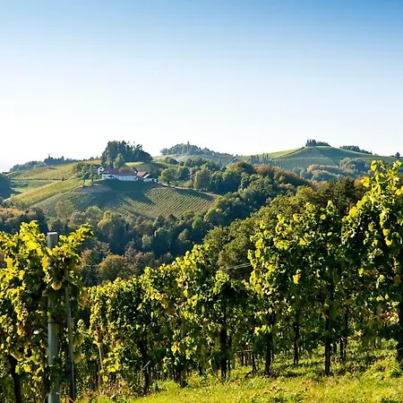 Konukevi Gaestezimmer & Buschenschank Mit Weingut Hack-gebell Gamlitz