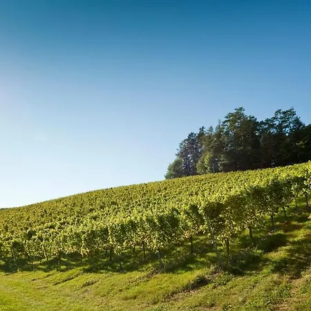 Gaestezimmer & Buschenschank Mit Weingut Hack-gebell *