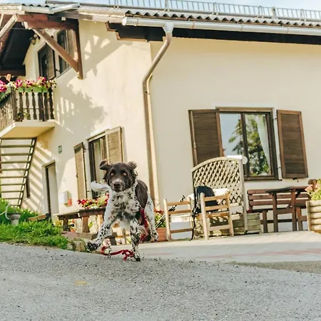 Gaestezimmer & Buschenschank Mit Weingut Hack-gebell 3*