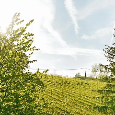 Gaestezimmer & Buschenschank Mit Weingut Hack-gebell Guest house Gamlitz