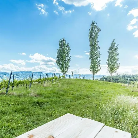 Gaestezimmer & Buschenschank Mit Weingut Hack-gebell Guest house
