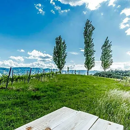 Gæstehus Gaestezimmer & Buschenschank Mit Weingut Hack-gebell