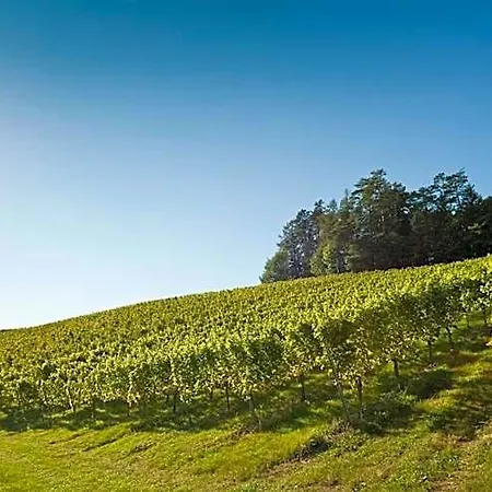 Gaestezimmer & Buschenschank Mit Weingut Hack-gebell Gæstehus