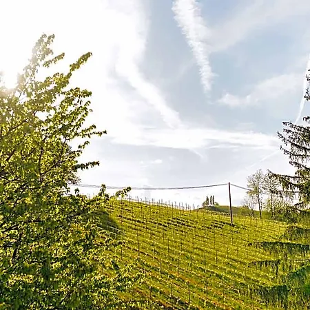 Gaestezimmer & Buschenschank Mit Weingut Hack-gebell