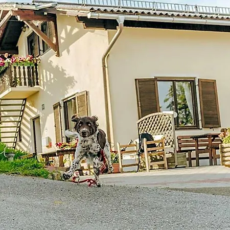 Gaestezimmer & Buschenschank Mit Weingut Hack-gebell Gæstehus
