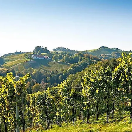 Gaestezimmer & Buschenschank Mit Weingut Hack-gebell 3*