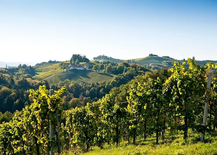 Gasthuis Gaestezimmer & Buschenschank Mit Weingut Hack-gebell Gamlitz