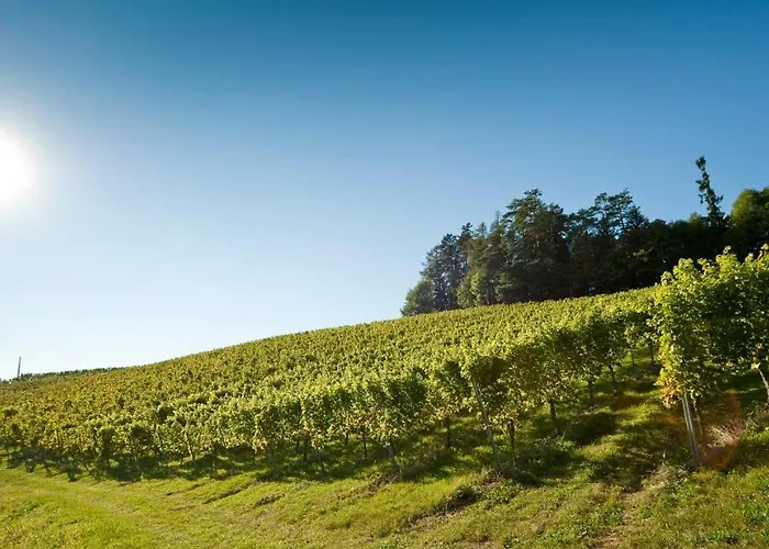 Gaestezimmer & Buschenschank Mit Weingut Hack-gebell 3*