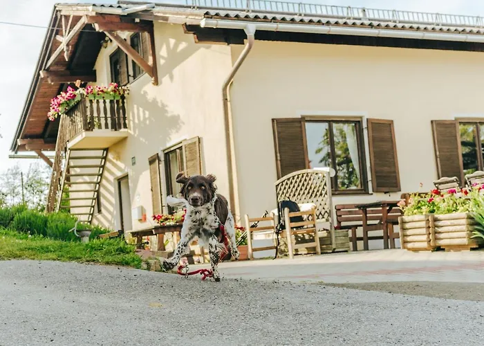 Gaestezimmer & Buschenschank Mit Weingut Hack-gebell 3*