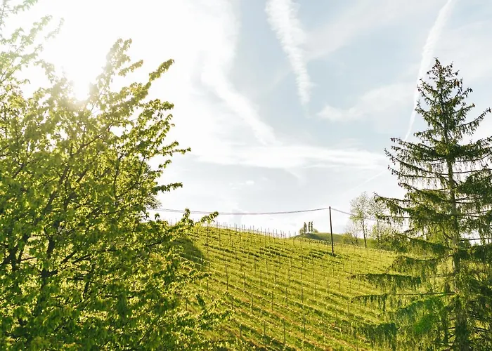 Gaestezimmer & Buschenschank Mit Weingut Hack-gebell Gasthuis Gamlitz